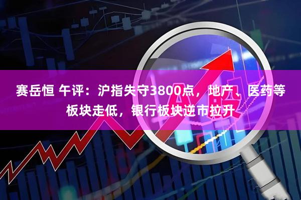 赛岳恒 午评：沪指失守3800点，地产、医药等板块走低，银行板块逆市拉升