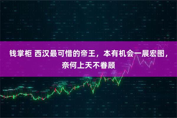 钱掌柜 西汉最可惜的帝王，本有机会一展宏图，奈何上天不眷顾