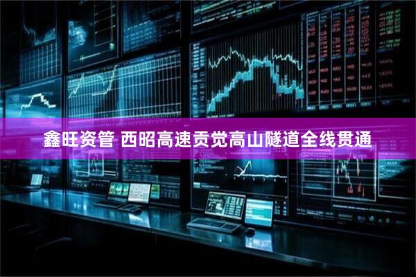 鑫旺资管 西昭高速贡觉高山隧道全线贯通